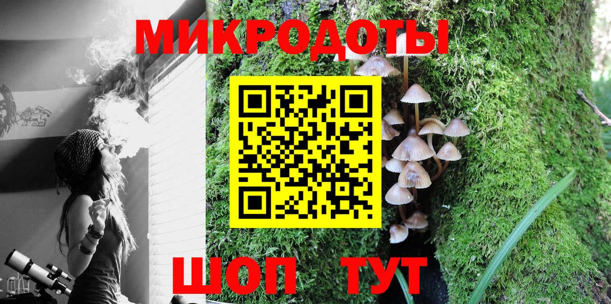 Псилоцибиновые грибы Psilocybe Мирный