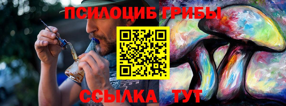 Псилоцибиновые грибы MAGIC MUSHROOMS  Вход с VPN  Мирный 